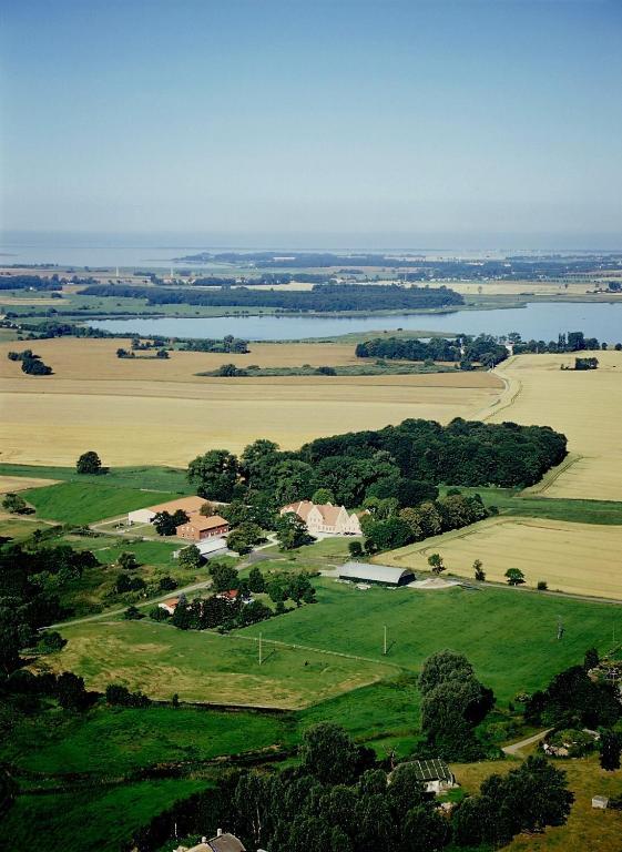 Boutique Gut Tribbevitz